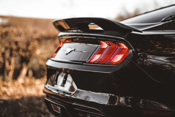 OlyBet Casino Application Android/iOS